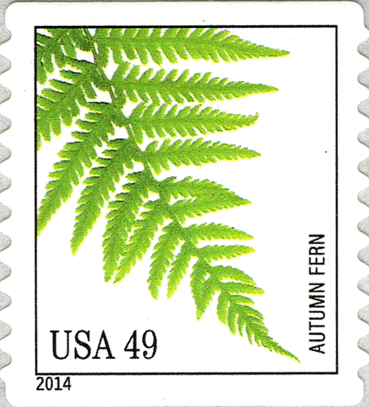 US005.14