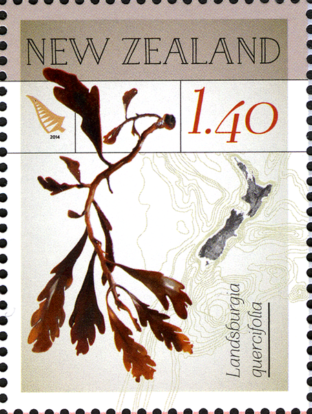 NZ006.14