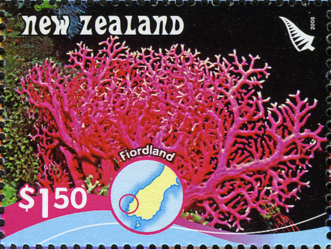 NZ003.08