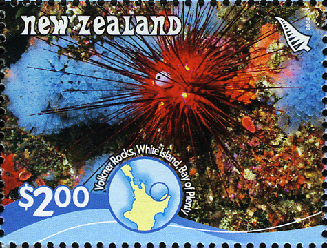 NZ004.08