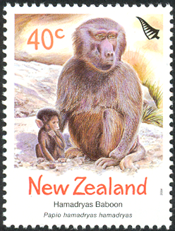 NZ001.04