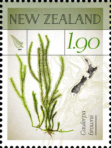 NZ007.14