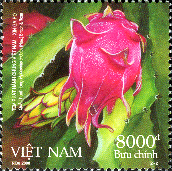 VN027.08