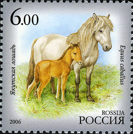 RU081.06