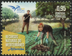 PT060.2025