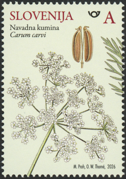 SI009.2026